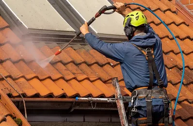 Démoussage et hydrofuge de toiture à Lama